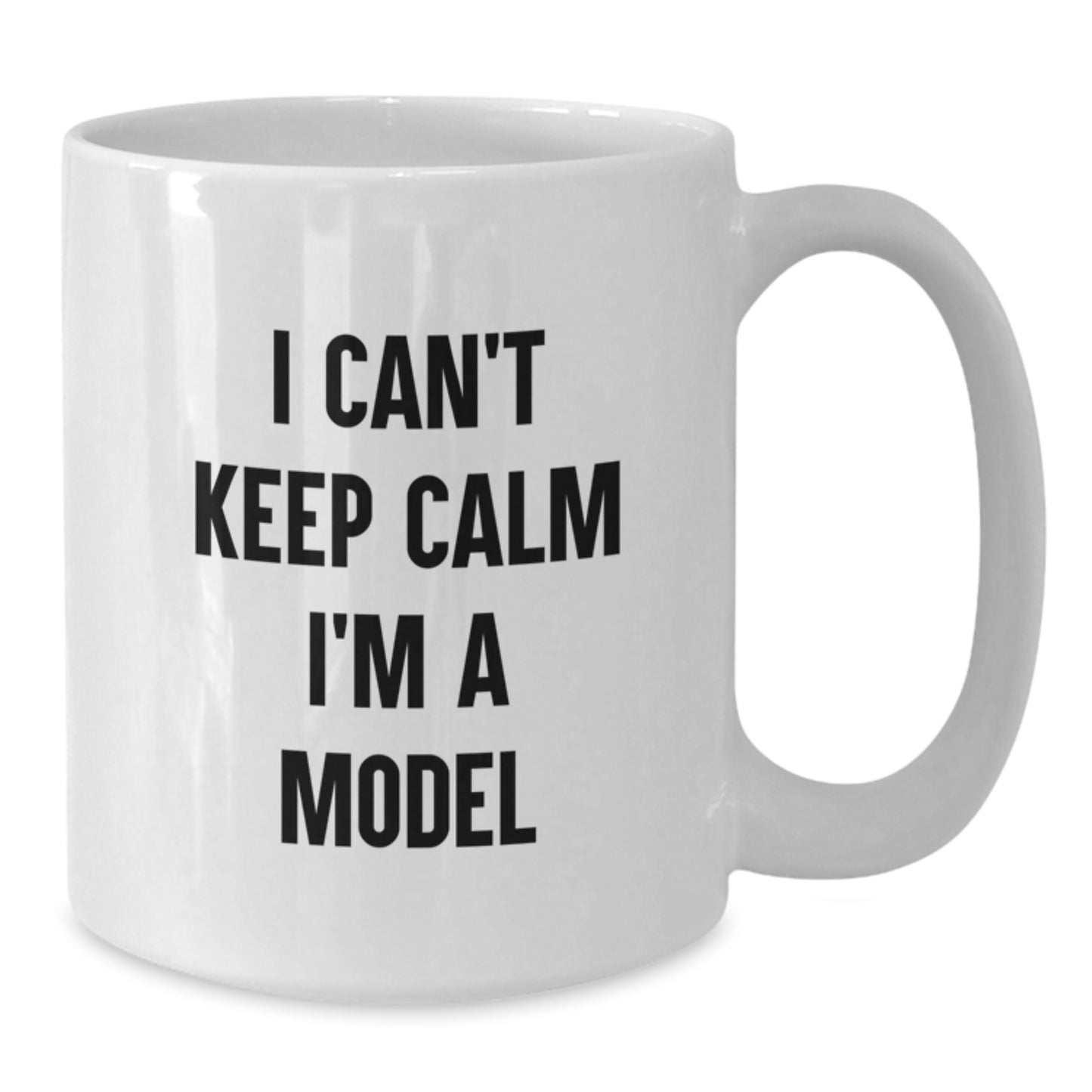 Funny Christmas Unique Gifts for Model Enthusiasts Gifts from Friends - Additional