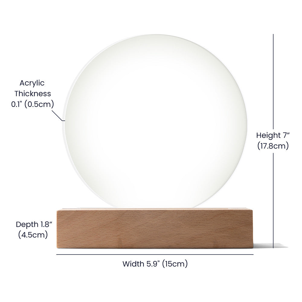 Santa LED Night Light