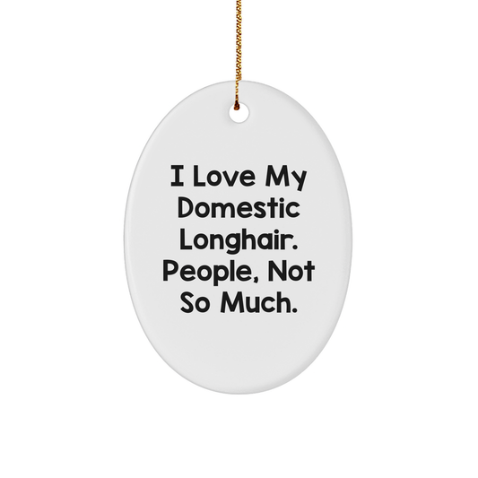 Domestic Longhair Cat Lovers Gifts, Funny Quote Oval Ornament, Gifts from Friends, for Christmas - Image 1