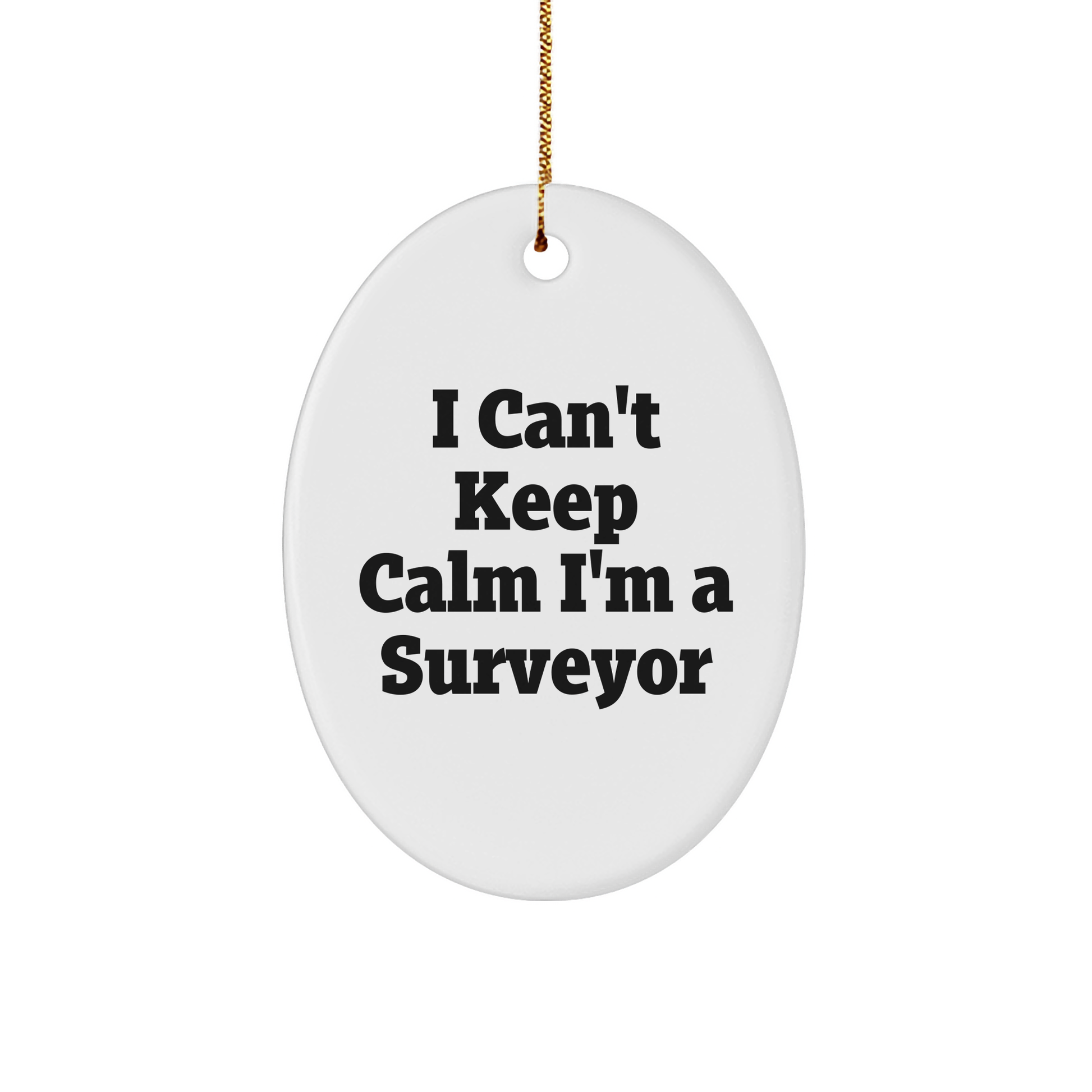 I Can't Keep Calm I'm A Surveyor Funny Oval Ornament Gifts from Men to Surveyor Friends for Christmas - Image 1