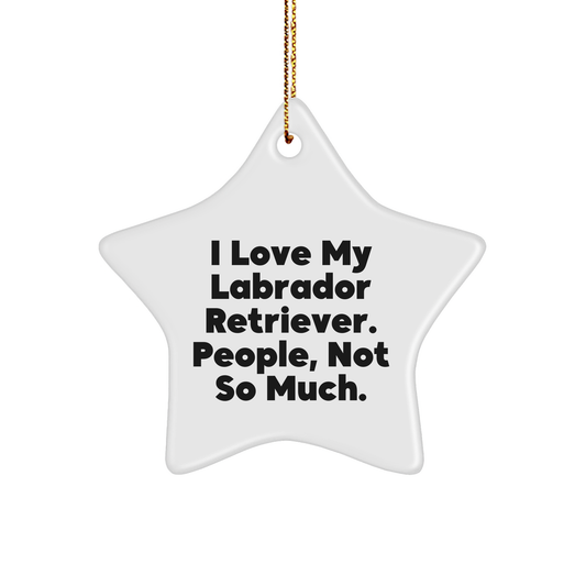 Labrador Retriever Dog Lovers' Funny Christmas Star Ornament Gift from Friends to Family - Image 1