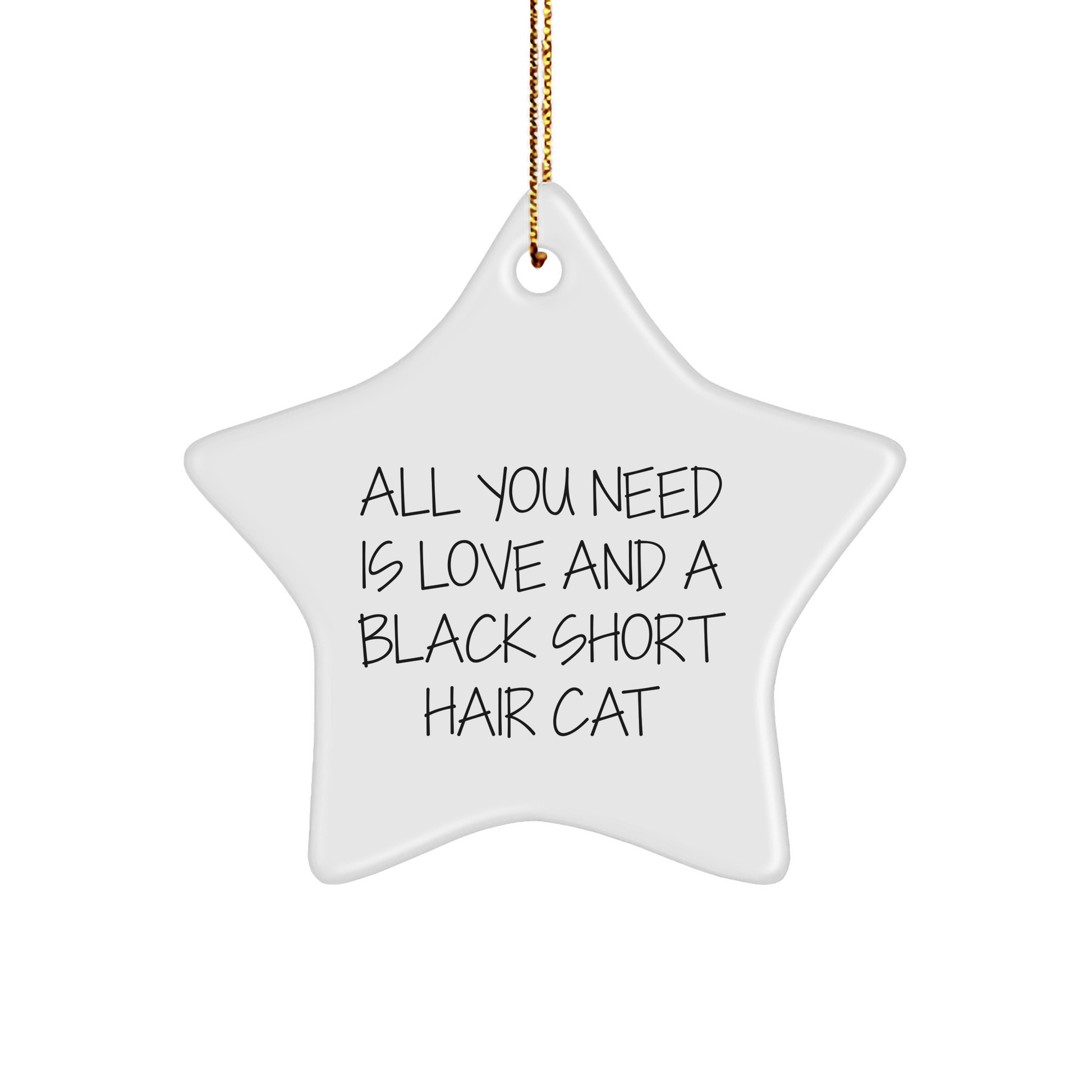 Black Short Hair Cat Lover's Star Ornament Gifts from Family to Friends - All You Need Is Love - Image 1