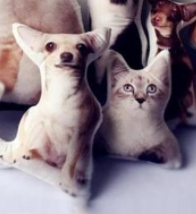 Personalized Pet Pillow - The Ultimate Gift for Pet Lovers