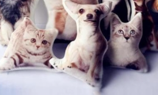 Personalized Pet Pillow - The Ultimate Gift for Pet Lovers