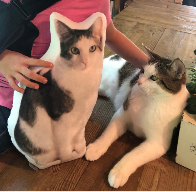 Personalized Pet Pillow - The Ultimate Gift for Pet Lovers
