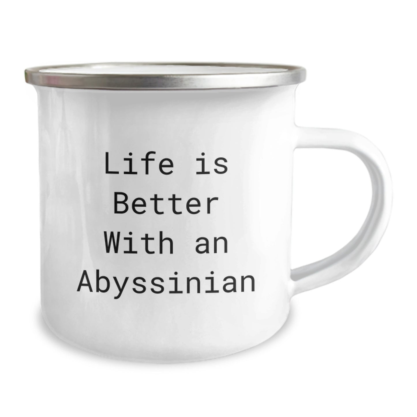 Funny Abyssinian Cat Gifts from Friends to Graduates - Camping Mug with Life Is Better With An Abyssinian Quote, Gifts for Abyssinian Cat Lovers, Men, Women, Family - Image 2