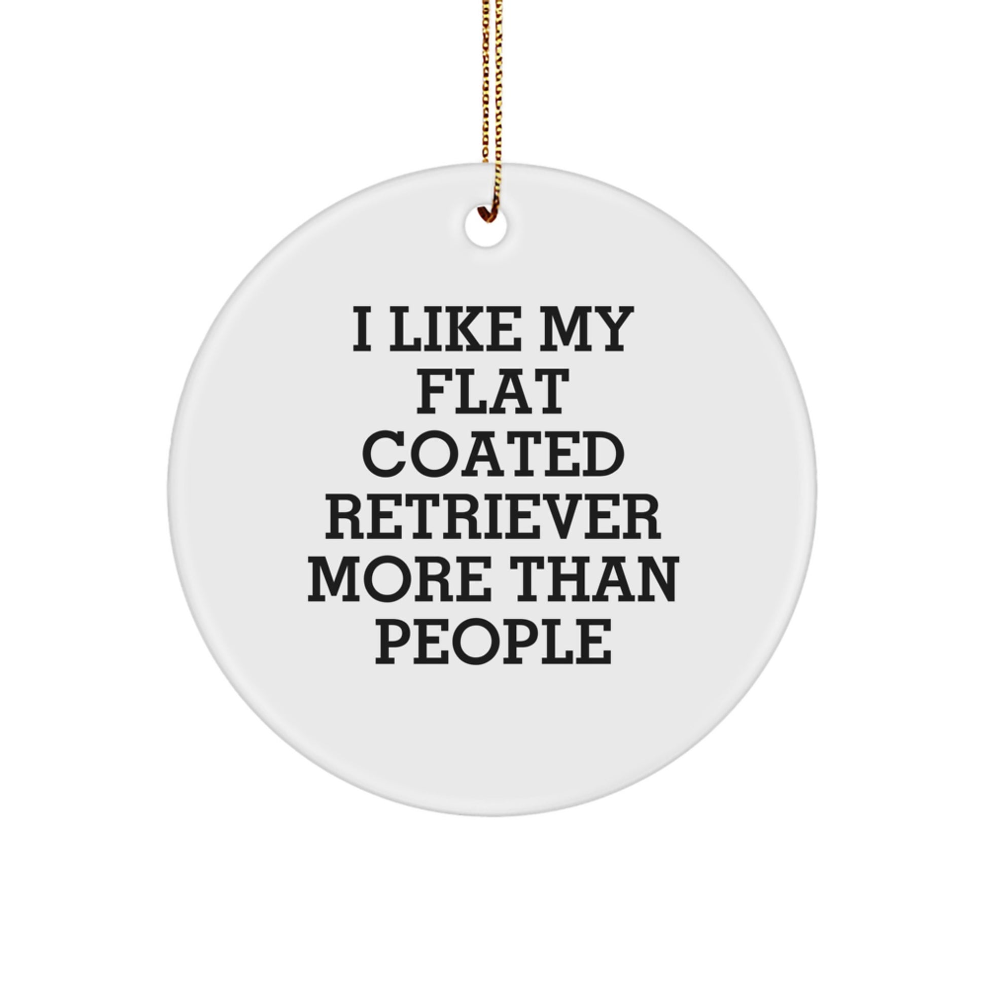 Flat Coated Retriever Dog Lovers Gifts from Friends for Home Decor, 'I Like My Flat Coated Retriever More Than People' Funny Christmas Circle Ornament - Image 1