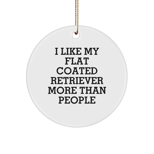 Flat Coated Retriever Dog Lovers Gifts from Friends for Home Decor, 'I Like My Flat Coated Retriever More Than People' Funny Christmas Circle Ornament - Image 1
