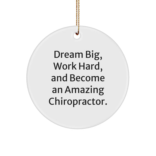 Chiropractor Gifts, 'Dream Big, Work Hard...' Funny Circle Ornament, Gifts from Family, for Christmas - Image 1