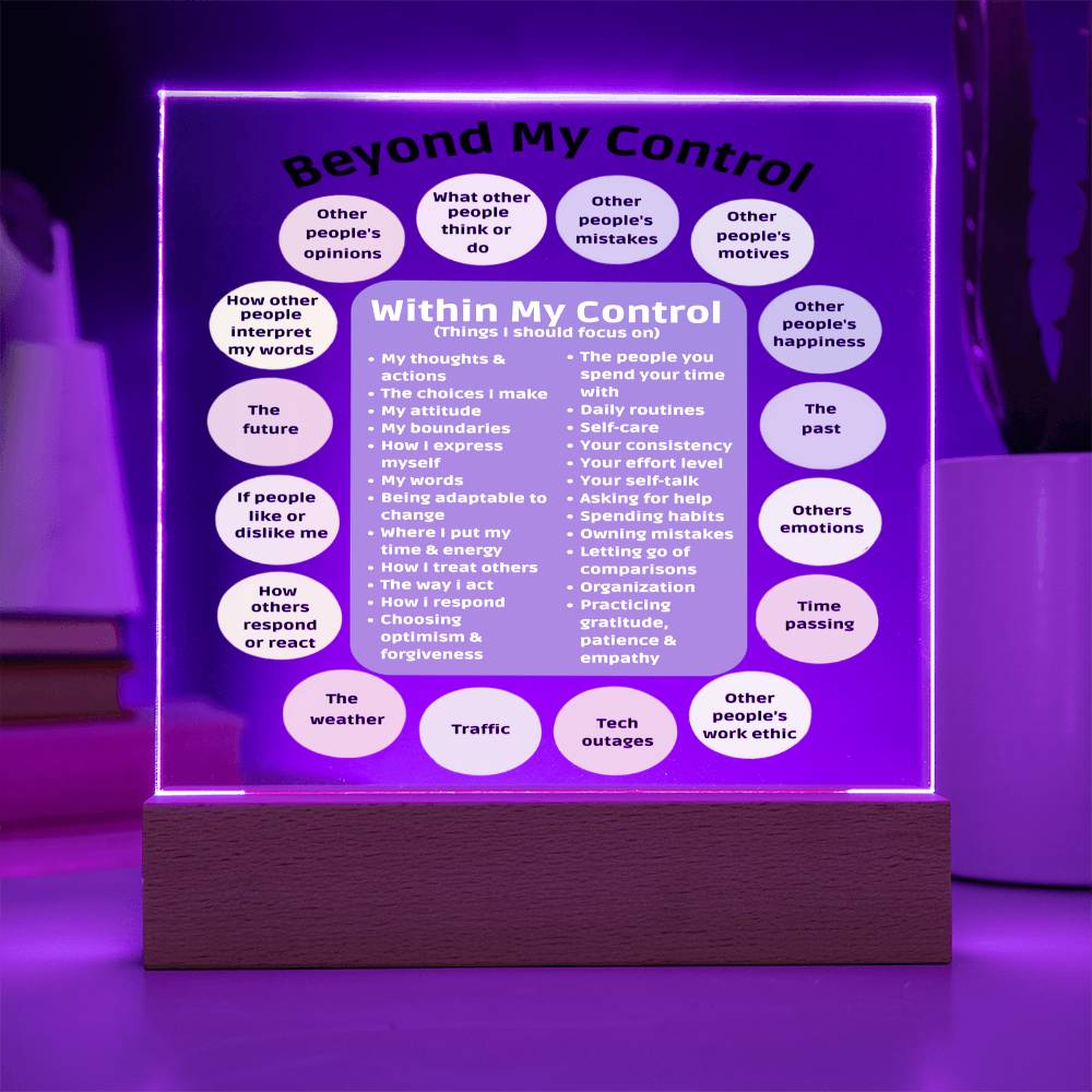Things I can control Acrylic Decor What I can control Anxiety LED light Mindful Room Decor School Psychologist Office Decor Counselor Sign