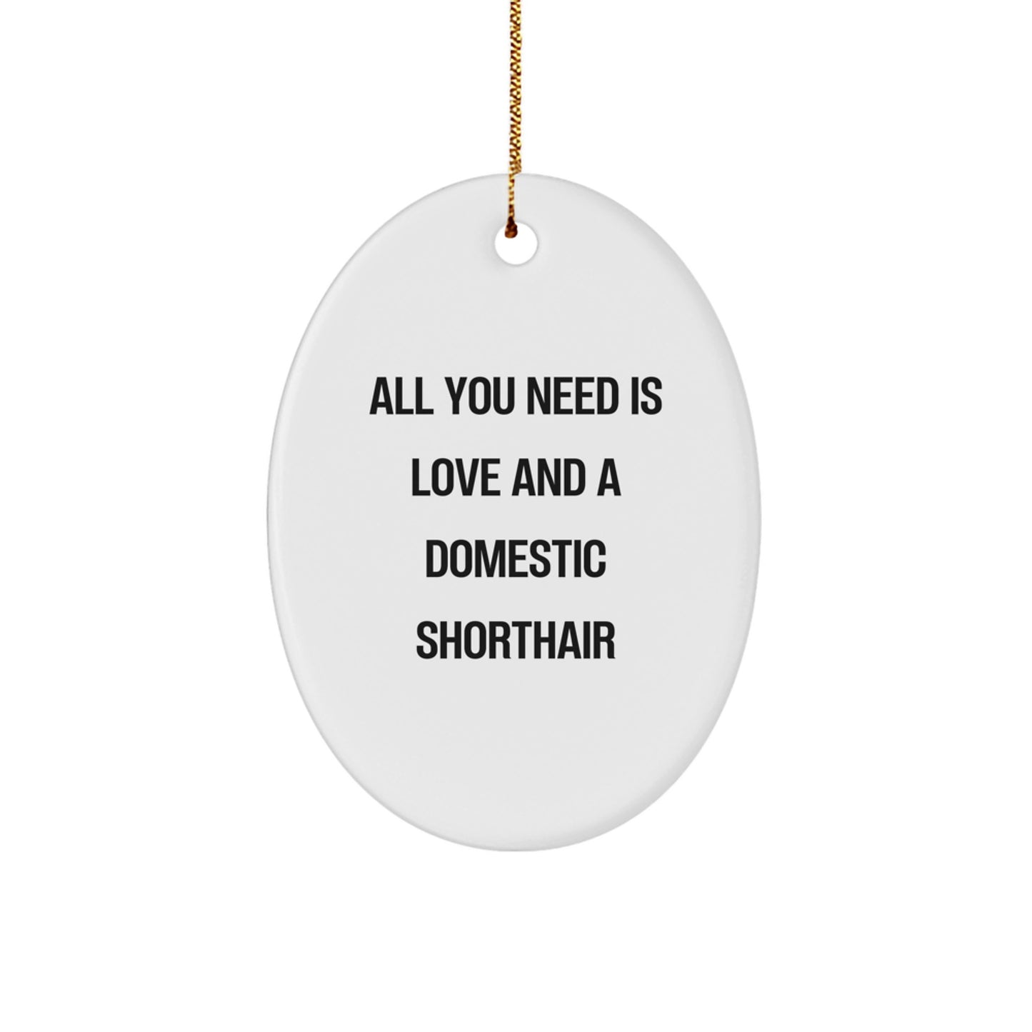 Domestic Shorthair Cat Oval Ornament Gifts from Friends to Family Christmas Unique Ornaments - Image 1