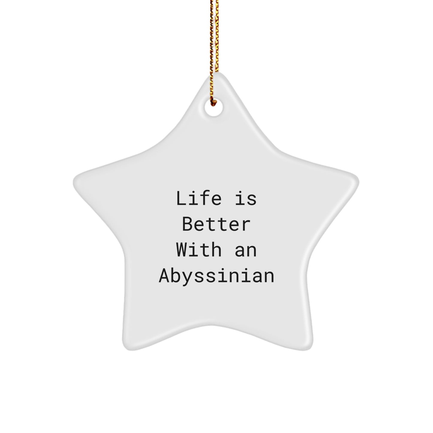Abyssinian Cat Star Ornament, Funny Quote Gifts for Abyssinian Cat Lovers, Gifts from Family, Christmas Unique Gifts - Image 1