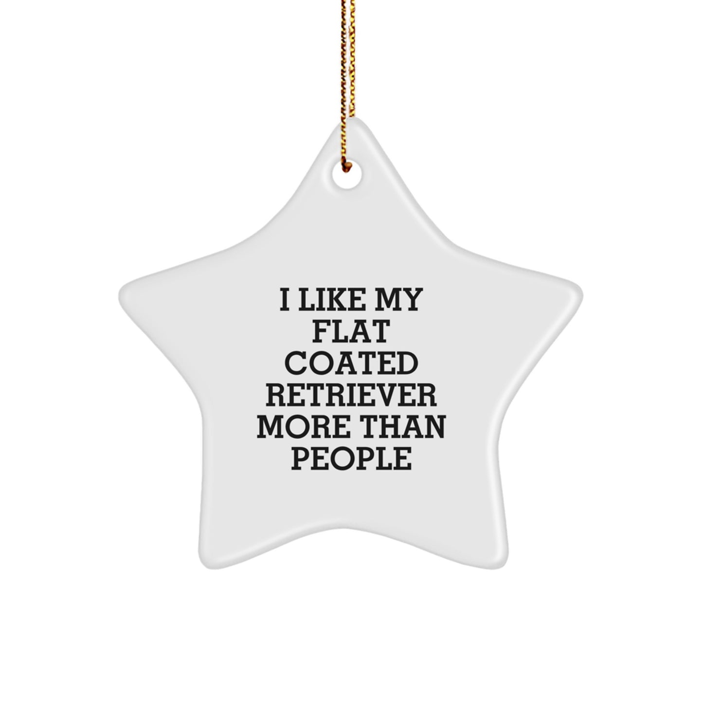 Funny Flat Coated Retriever Dog Gifts from Friends - I Like My Flat Coated Retriever More Than People Star Ornament for Christmas Unique Gifts - Image 1