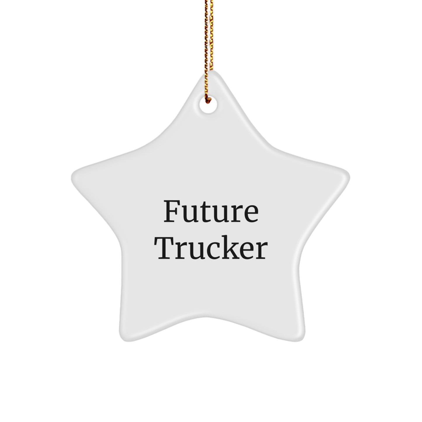 Funny Future Trucker Gifts from Family - Christmas Unique Star Ornament for Trucker Friends, Inspirational Star Shaped Decor Gift - Image 1
