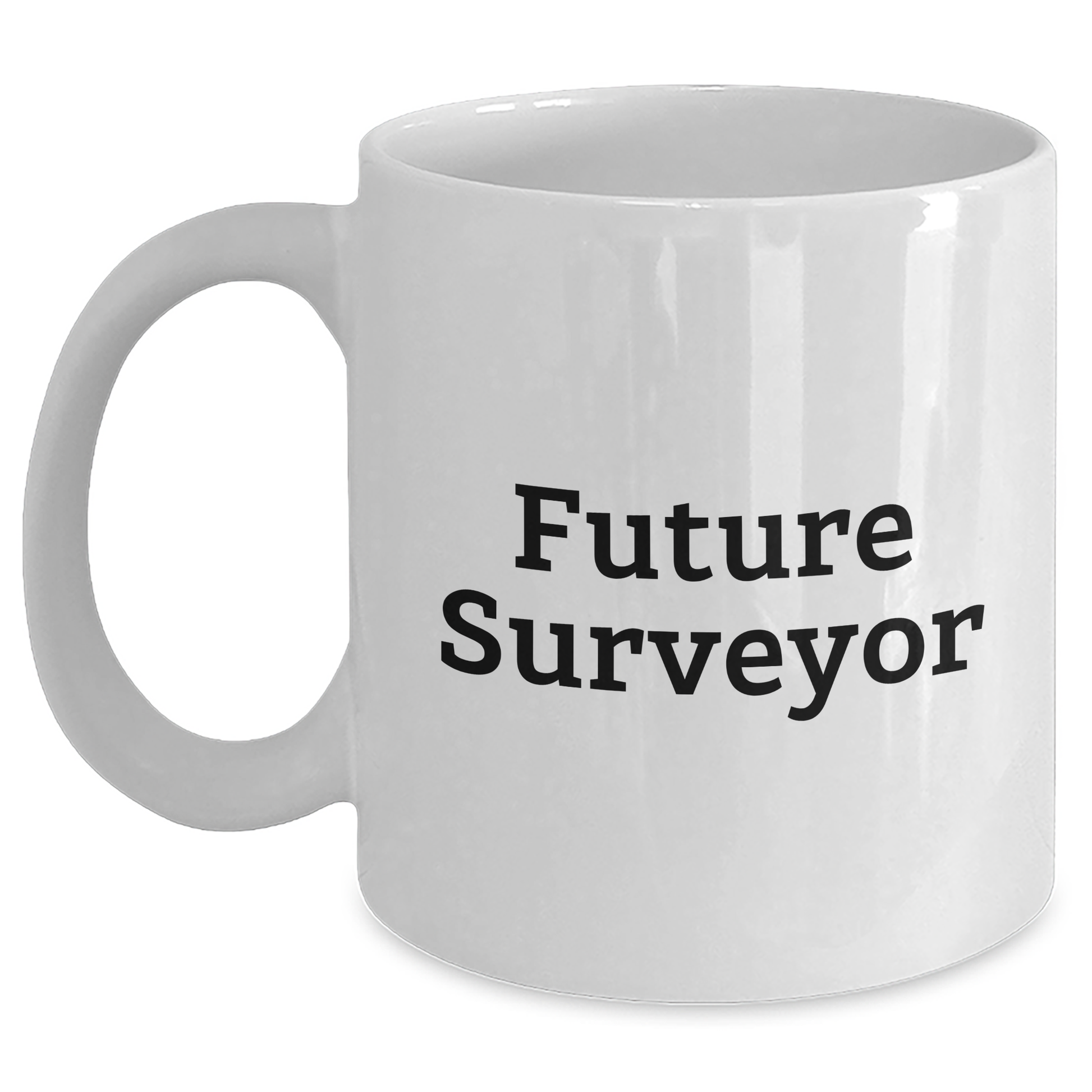 Funny Future Surveyor Quote Gifts for Surveyor Enthusiasts - White Coffee Mug, Gifts from Family, Gifts for Surveyor, Mother's Day Unique Gifts - Main