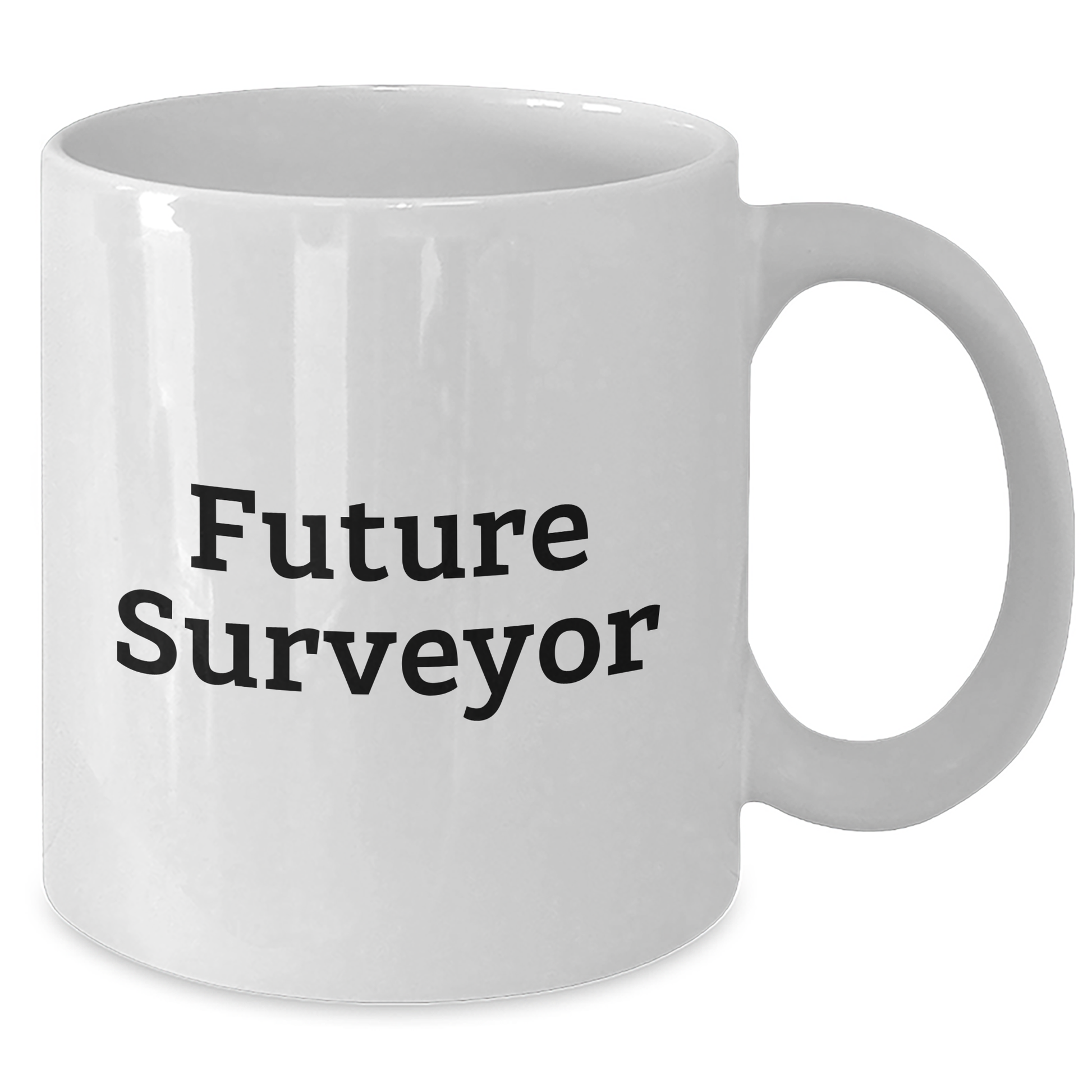 Funny Future Surveyor Quote Gifts for Surveyor Enthusiasts - White Coffee Mug, Gifts from Family, Gifts for Surveyor, Mother's Day Unique Gifts - Additional