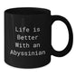 Gifts from Family to Abyssinian Cat Lovers - Life Is Better with an Abyssinian Quote Funny Black Coffee Mug, 11oz or 15oz, Microwave and Dishwasher Safe - Additional