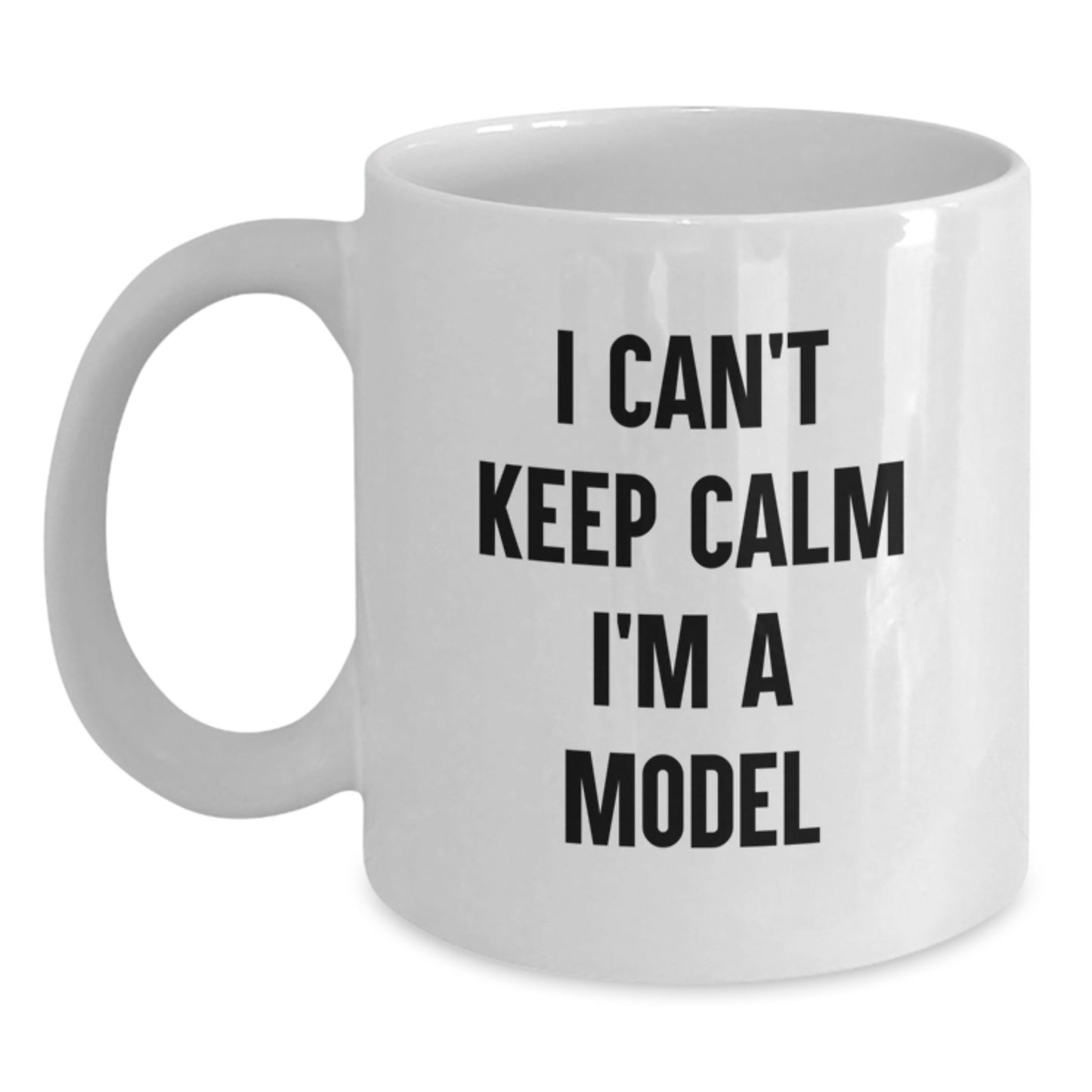 Funny Christmas Unique Gifts for Model Enthusiasts Gifts from Friends - Main