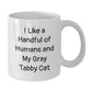 Funny Gray Tabby Cat White Coffee Mugs Gifts from Family to Friends for Christmas Unique - Additional