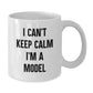 Funny Christmas Unique Gifts for Model Enthusiasts Gifts from Friends - Additional