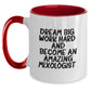 Gifts from Friends and Family to Amazing Mixologist, 'Dream Big, Work Hard, And Become An Amazing Mixologist' Funny Christmas Unique Gifts, Two Tone Coffee Mug for Men, Women Mixologist - Main
