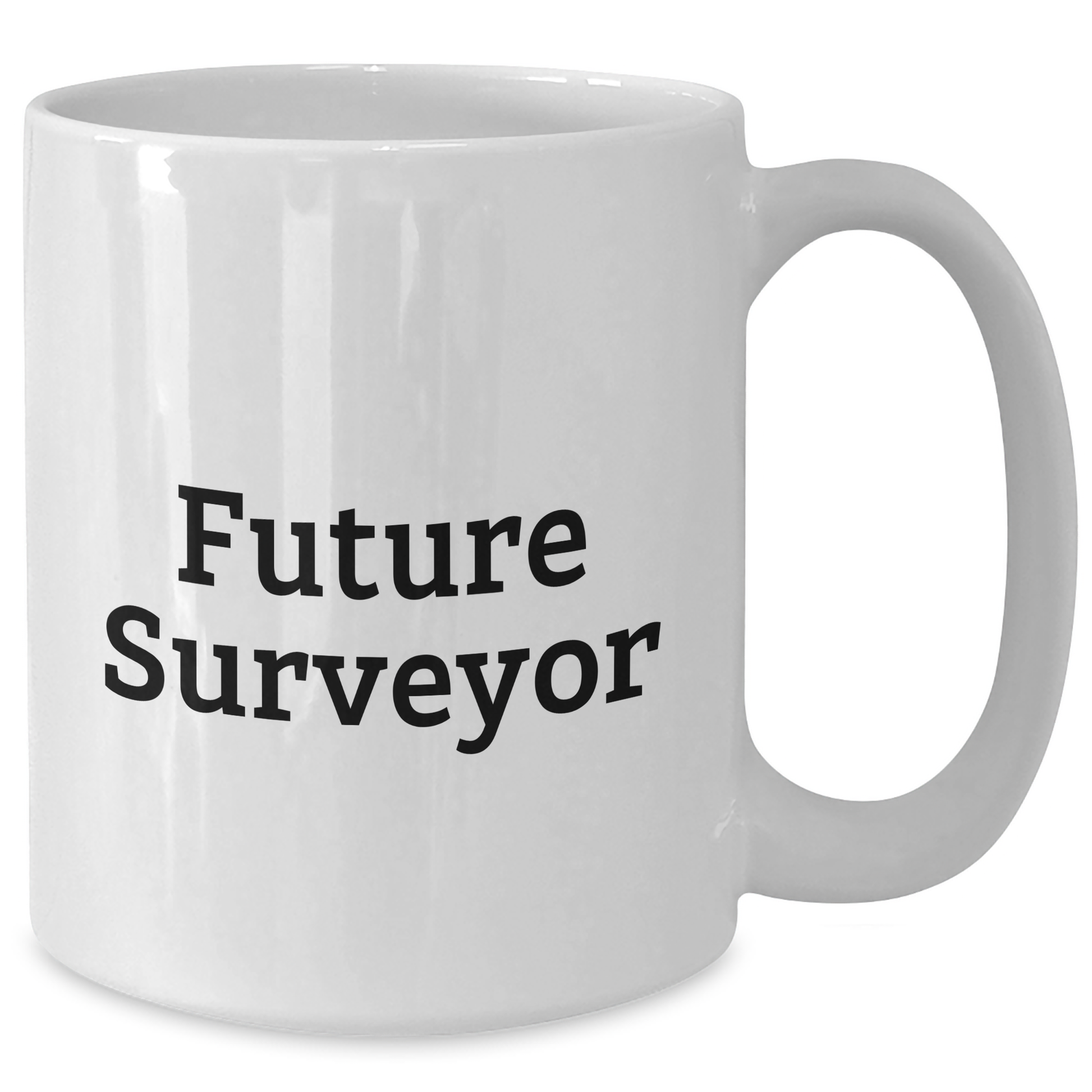 Funny Future Surveyor Quote Gifts for Surveyor Enthusiasts - White Coffee Mug, Gifts from Family, Gifts for Surveyor, Mother's Day Unique Gifts - Additional