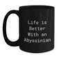 Gifts from Family to Abyssinian Cat Lovers - Life Is Better with an Abyssinian Quote Funny Black Coffee Mug, 11oz or 15oz, Microwave and Dishwasher Safe - Main