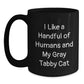Gray Tabby Cat Enthusiast Gifts from Friends for Family Member Funny Coffee Mug, Ideal Gift for Christmas Unique Presents - Main