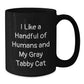 Gray Tabby Cat Enthusiast Gifts from Friends for Family Member Funny Coffee Mug, Ideal Gift for Christmas Unique Presents - Additional