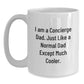 Funny Concierge Dad Gifts from Men to Friends for Christmas Unique Mugs - Main