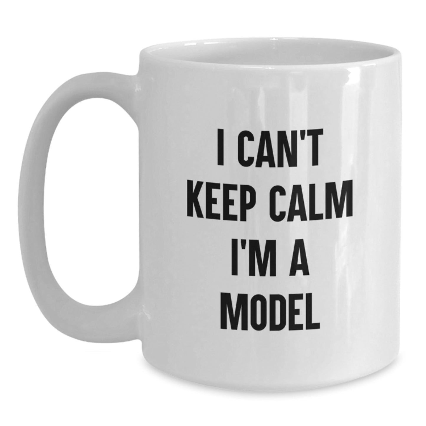 Funny Christmas Unique Gifts for Model Enthusiasts Gifts from Friends - Main