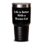 Inspirational Brown Cat Gifts from Men to Friends - Life Is Better Tumbler for Father's Day, 20oz or 30oz Stainless Steel Vacuum Insulated - Main
