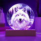 Winter Wolf LED Light Plaque Gift