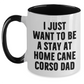 Funny Cane Corso Dog Dad, I Just Want To Be A Stay At Home Cane Corso Dad, Gifts from Men to Cane Corso Dog Lovers, Father's Day Unique Gifts - Main