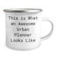 Gifts from Urban Planner Friends - This Is What An Awesome Urban Planner Looks Like - Mother's Day Unique Gifts for Urban Planner - Image 2