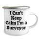 I Can't Keep Calm I'm A Surveyor Funny Camping Mug Gifts from Friends and Family for Mother's Day - Image 2