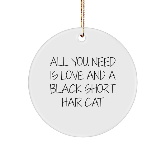 Funny Black Short Hair Cat Gifts from Friends, Circle Ornament Quote for Christmas Unique Gifts, Inspirational Black Short Hair Cat Lover Gifts for Family and Friends - Image 1