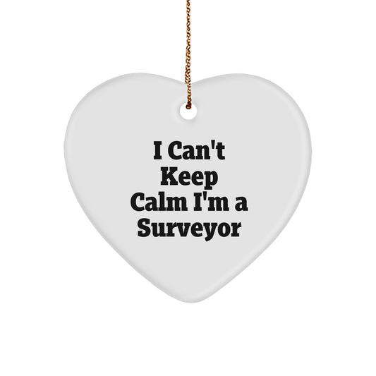 Funny Surveyor Gifts for Men, Women, or Friends - I Can't Keep Calm I'm A Surveyor Heart Ornament, Christmas Unique Presents - Image 1