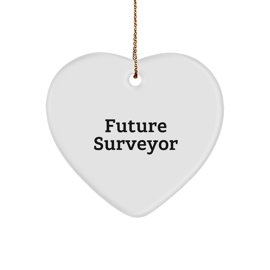Funny Future Surveyor Heart Ornament, Gifts from Mom to Future Surveyor, Inspirational Surveyor Gifts for Christmas - Image 1