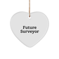 Funny Future Surveyor Heart Ornament, Gifts from Mom to Future Surveyor, Inspirational Surveyor Gifts for Christmas - Image 1