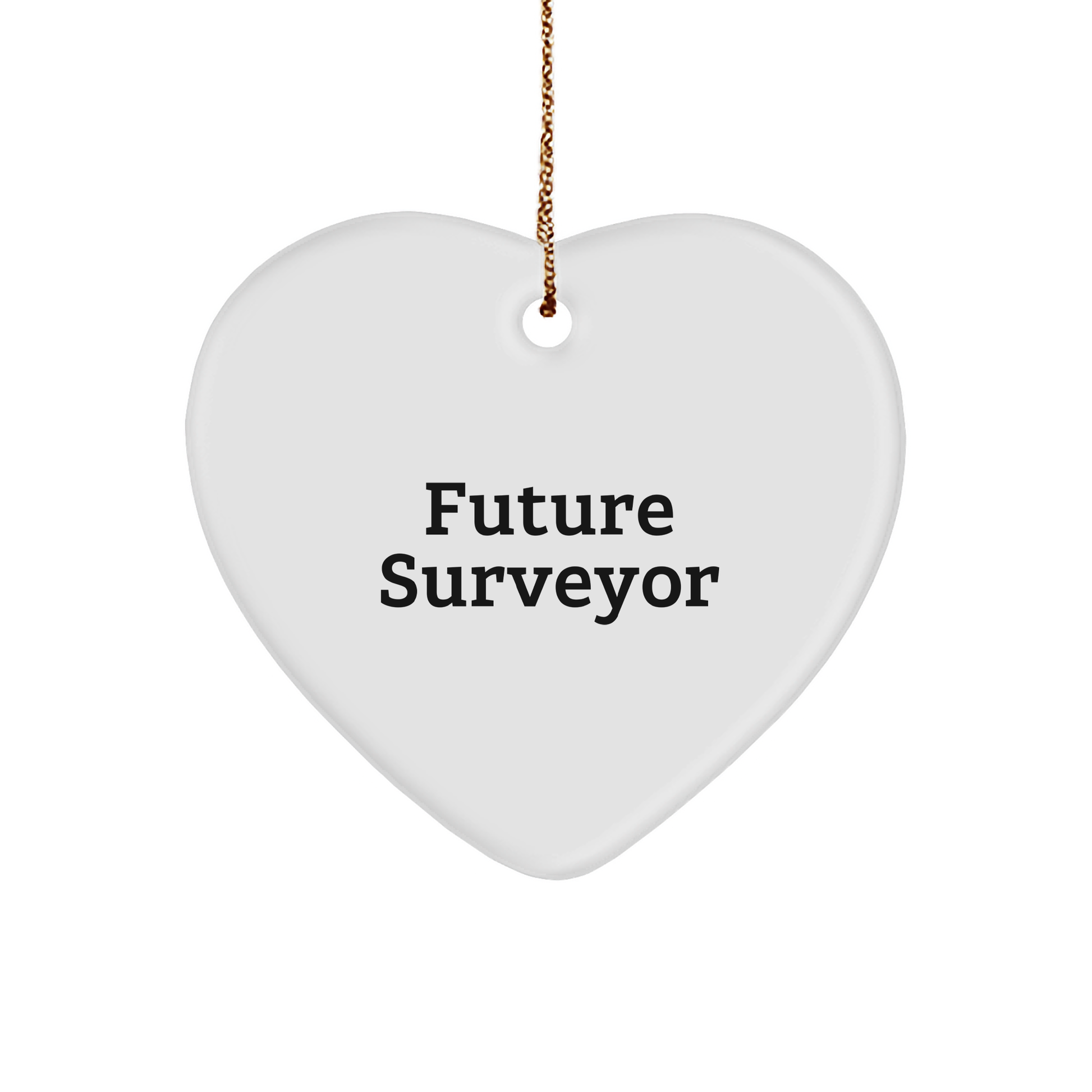 Funny Future Surveyor Heart Ornament, Gifts from Mom to Future Surveyor, Inspirational Surveyor Gifts for Christmas - Image 1
