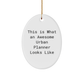 Funny Urban Planner Gifts, Oval Ornament Quote: This Is What An Awesome Urban Planner Looks Like, Christmas Unique Gifts from Friends, Gifts for Urban Planner Men - Image 1