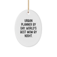 Urban Planner Gifts by Day, Fun Oval Ornaments for Family and Friends by Night, Christmas Unique Gifts - Image 1
