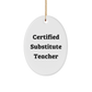 Funny Certified Substitute Teacher Oval Ornament Gifts from Family for Christmas - Image 1