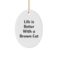 Funny Brown Cat Gifts from Men - Brown Cat Oval Ornament Life Is Better With A Brown Cat, Christmas Unique Gifts for Women, Friends, and Family - Image 1
