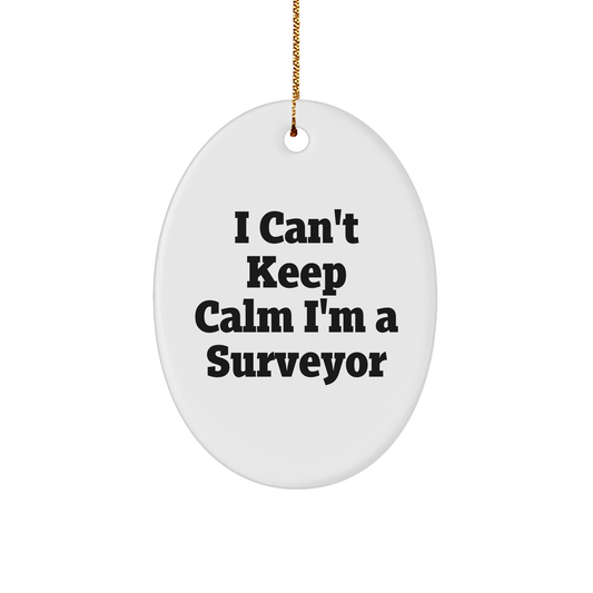 I Can't Keep Calm I'm A Surveyor Funny Oval Ornament Gifts from Men to Surveyor Friends for Christmas - Image 1