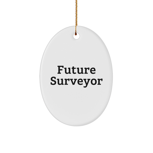 Funny Future Surveyor Oval Ornament Gifts from Friends and Family for Christmas - Image 1