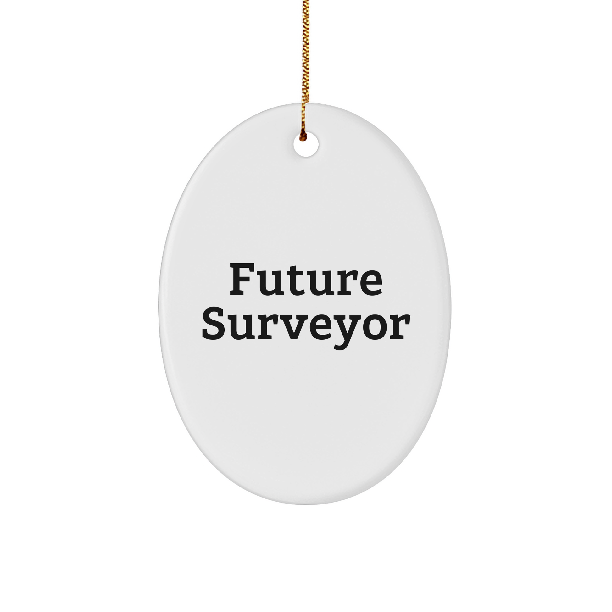 Funny Future Surveyor Oval Ornament Gifts from Friends and Family for Christmas - Image 1