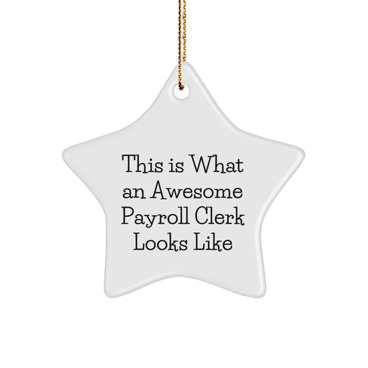 Funny Payroll Clerk Star Ornament Gifts from Friends, Perfect for Payroll Clerk Payroll Clerk Gifts on Christmas, This Is What An Awesome Payroll Clerk Looks Like - Image 1