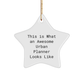 Unique Gifts from Friends for Urban Planner, This Is What An Awesome Urban Planner Looks Like Christmas Star Ornament - Image 1